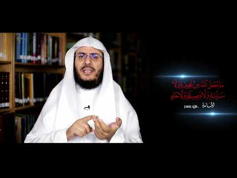 برنامج غريب القرآن | الحلقة 168 | قوله تعالى: ‏﴿‏مَا جَعَلَ اللَّهُ مِنْ ‌بَحِيرَةٍ وَلَا سَائِبَةٍ وَلَا وَصِيلَةٍ وَلَا حَامٍ﴾ [المائدة: 103].