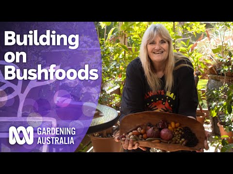 Building on Bushfoods | Australian native plants | Gardening Australia