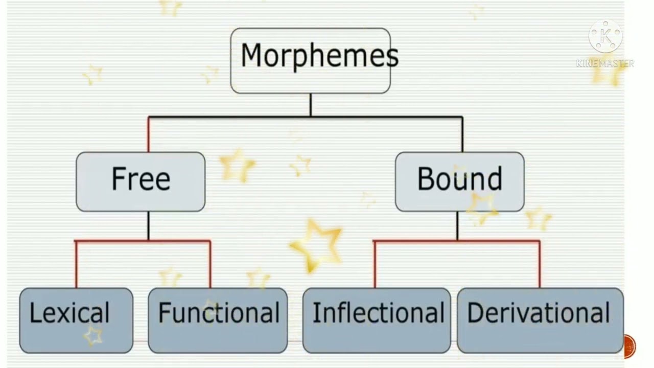Easy ppt on Morphology