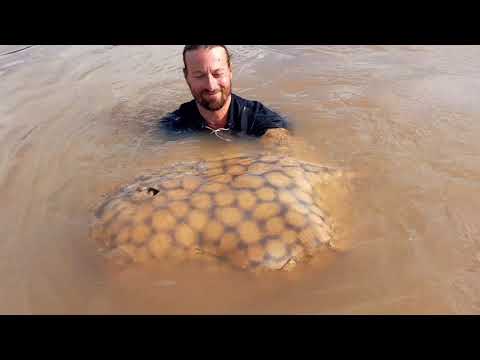 Giant Stingray Extreme Fishing - Argentina - Paraná River - Pesca de Raya Gigante - Excursiones