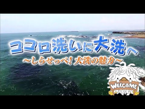 人間発達文化学類 大洗町ＰＲ動画「ココロ洗いに　大洗へ　～しらせっぺ！大洗の魅力～」（全編）【公式】