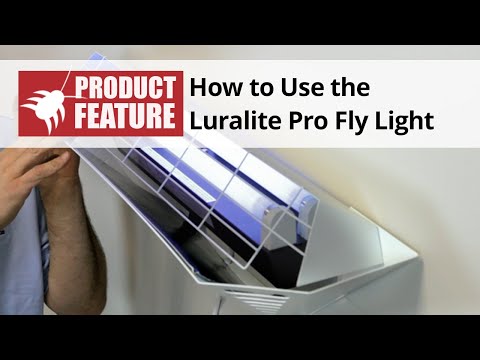  How to Use the Luralite Pro Fly Light Indoor Electric Fly Trap Video 
