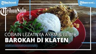 Cobain Kuliner Ayam dan Bebek Goreng Barokah Mas Wawan di Klaten, Sambalnya Bikin Nagih Pembeli