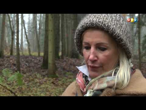 Blaumaņa Brakos plānotas kailcirtes