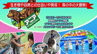 2026軽井沢おもちゃ王国夏休みバージョン2