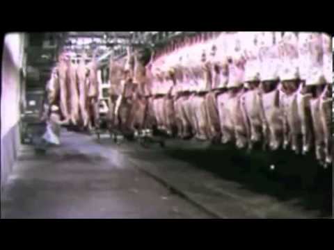 The Greatest Speech Ever Made   Charlie Chaplin