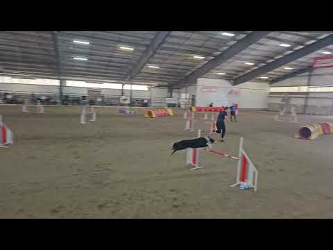 Zest Speedstakes. 08-11-2024