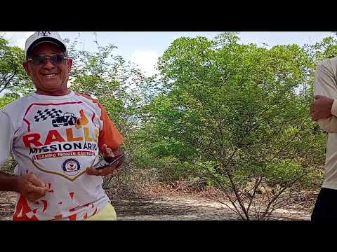 Castelo de pedra na cidade de castelo do Piauí. Contato do guia Max 86 99298852 e só chamar 