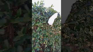 Download lagu VID 20260202 103012 mp3