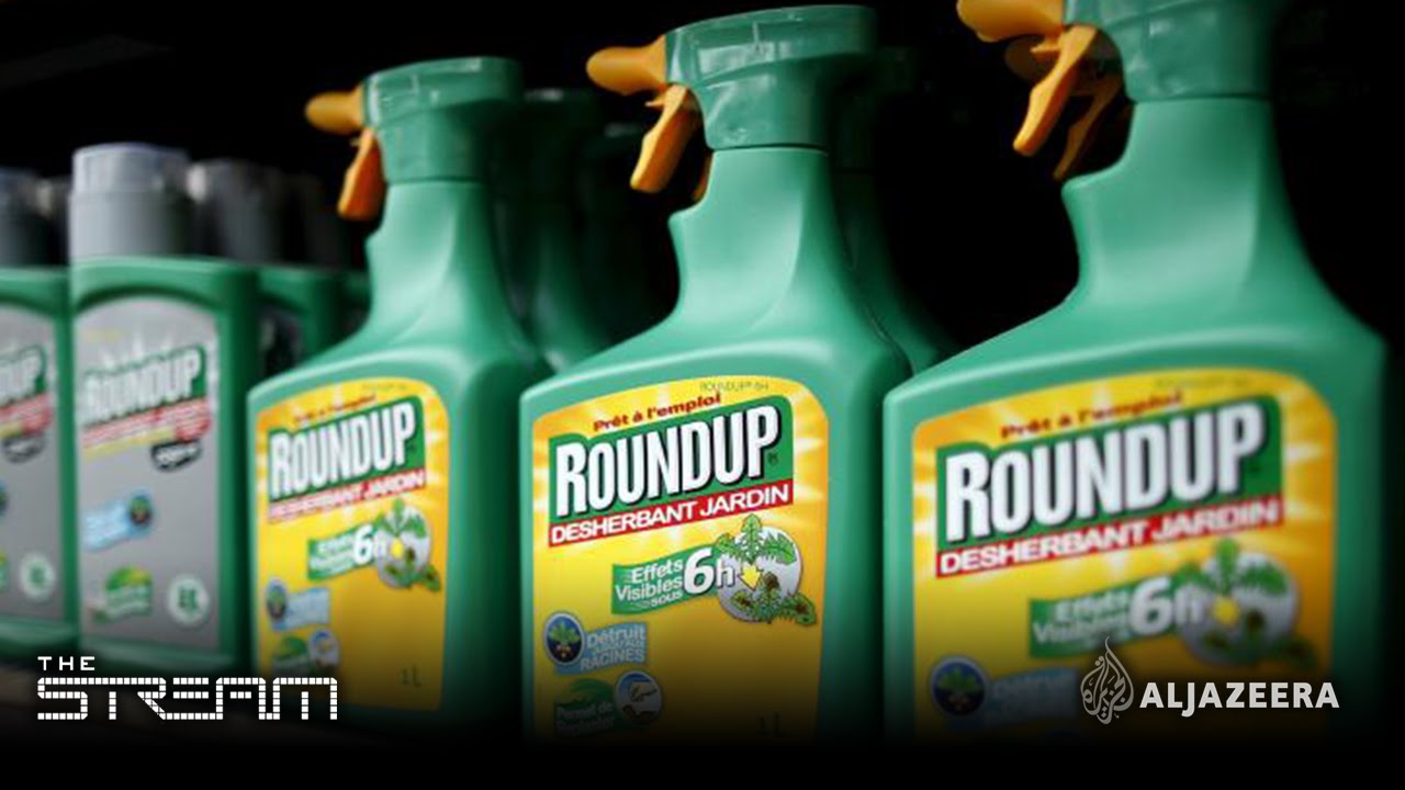 The Stream - Does RoundUp kill more than weeds?