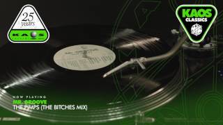 Mr. Groove - The Pimps (The Bicthes Mix)