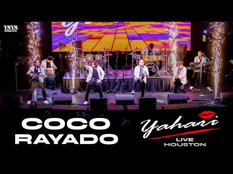 Yahari - Coco Rayado (Live Houston)