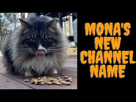 Mona's new channel name!