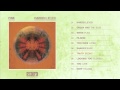 Fink - 'Truth Begins' 