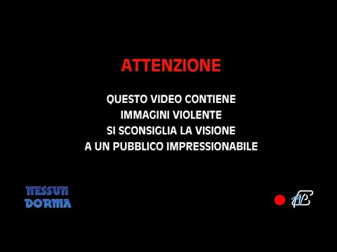 NESSUN DORMA 11 OTTOBRE 2024 - TRATTATI COME BESTIE