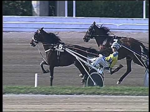 Trotto 08/05/2016 - 6° corsa