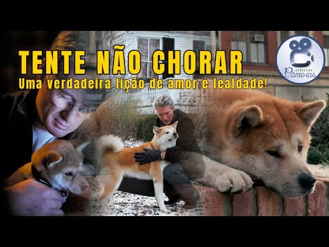 SEMPRE AO SEU LADO: Uma verdadeira lição de amor e lealdade