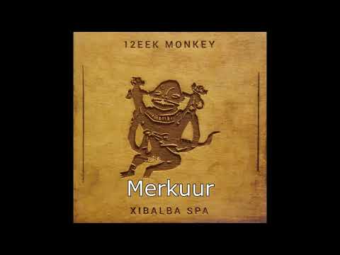 12EEK MONKEY - 2.5 - Merkuur