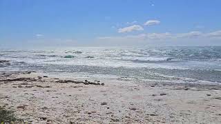 26 Marzo 2026: Les Arnettes, Bouches du Rhône, La Côte Bleue, France