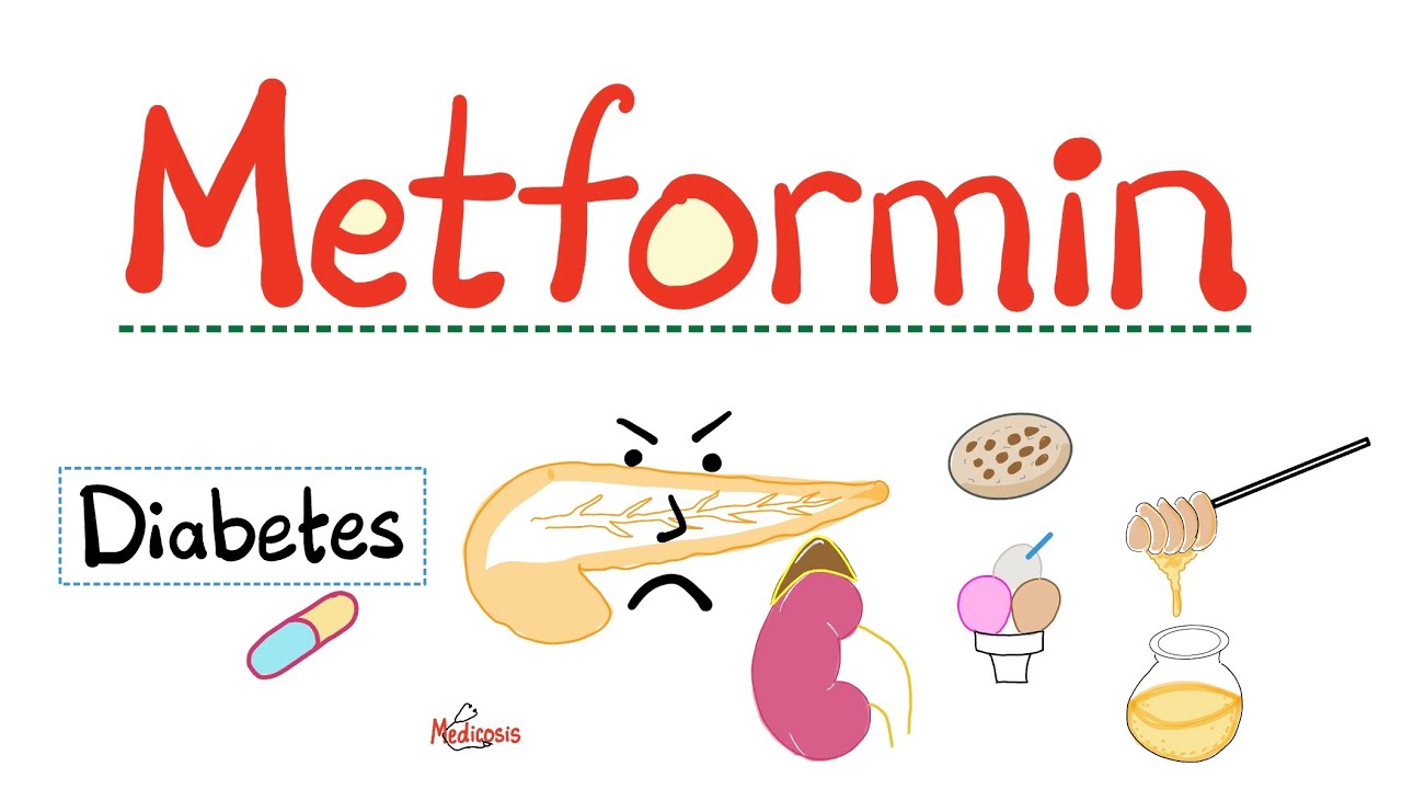 Metformin - Mechanism of Action - Side effects - Toxicity - Endocrine Pharmacology