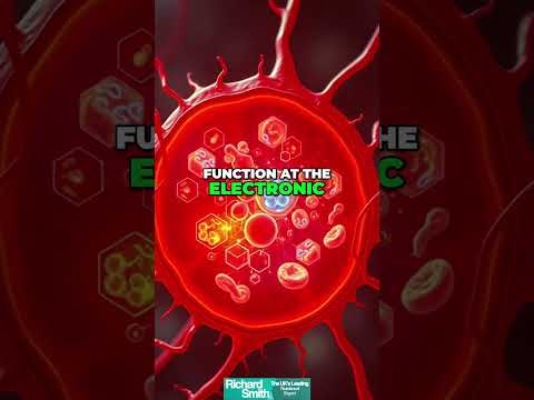 FGF1 & Weight Loss: How Protein Restriction Burns Fat