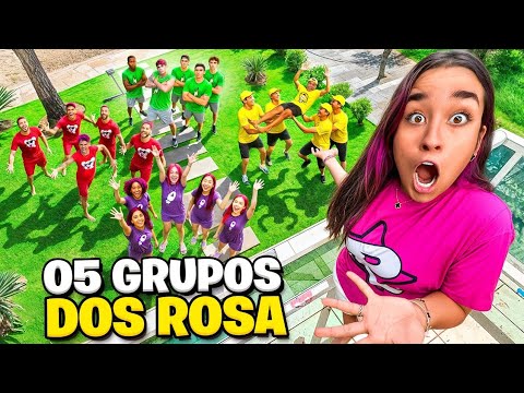 CRIAMOS 5 GRUPOS DOS ROSA *Destruição total !