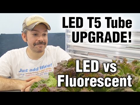 , title : 'T5 HO Fluorescent vs LED Replacement Bulb Grow Lights for Shelves -Hydroponic Lettuce Test & Review'