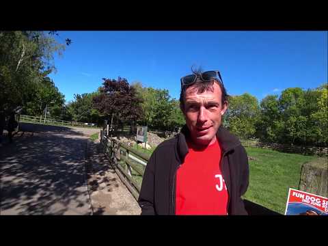 🇬🇧 RADO 🎡 - Świnia zżarła okulary! Pocałunek CAPA!