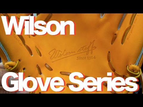 Wilson 2015 Glove series #544