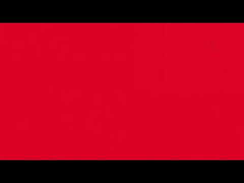 Playboi Carti - Flex ft. Leven Kali (Interlude only)