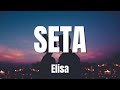 Elisa - Seta TESTO / Lyrics