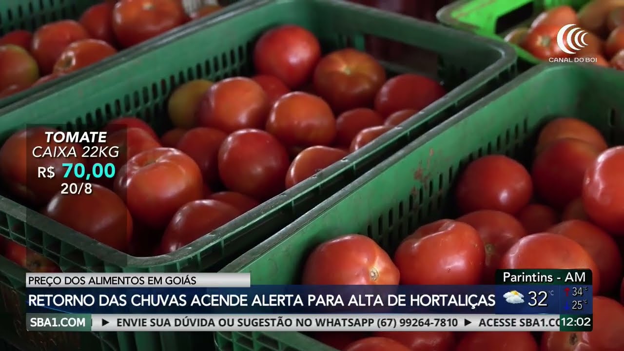 Retorno das chuvas acende alerta para alta das hortaliças em Goiás