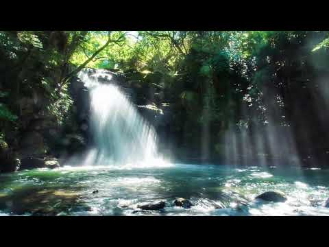 Zayn Mohammed - Kouyou 紅葉 (Changing Leaves/Colours)