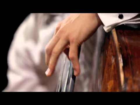 Luciano Berio, Psy for solo Doublebass