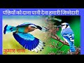 पंछियों को दाना पानी देना हमारी जिम्म�