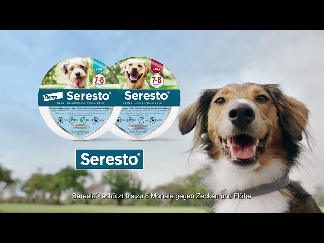 seresto online