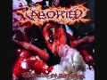 Aborted-Organic Puzzle 