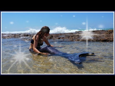 Tail photoshoot at the beach!