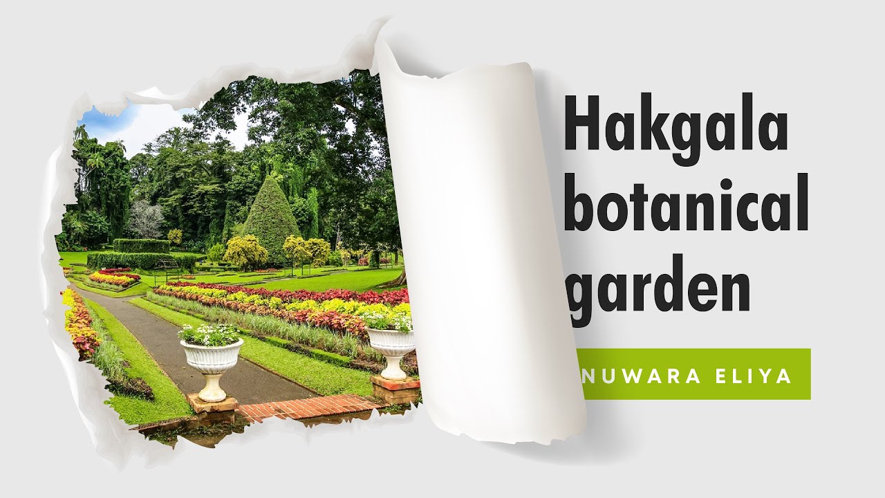 Discover the highlights of Hakgala Botanical Garden.