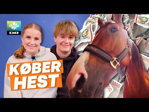 Tjener penge på en hest? | Freja og Oliver har købt et særligt dyr