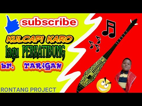 Perkatibung br Tarigan || kulcapi karo