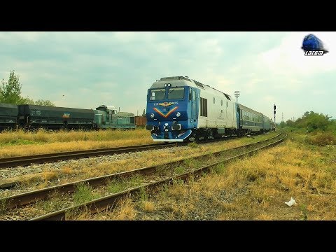 Trenuri & Activitate Feroviara/Trains & Rail Activity in Oradea Est Triaj - 03 September 2018