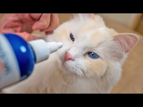 YouTube video about: How to clean cat's eye crystal?