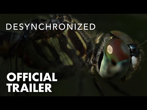 Thumbnail of the video: DESYNCHRONIZED | Official Trailer