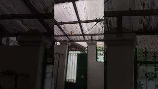 Download lagu Full Senyum Sayang-Vita Alvia mp3 Download lagu Full Senyum Sayang-Vita Alvia mp3