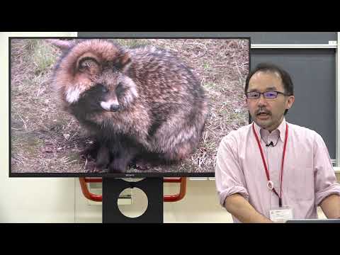 フランス語学科 フランス語学科体験授業「捕らぬ（取らぬ）狸の皮算用」