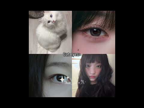 What animal eyes you have?👀#eyes #video #girl #beauty #animals