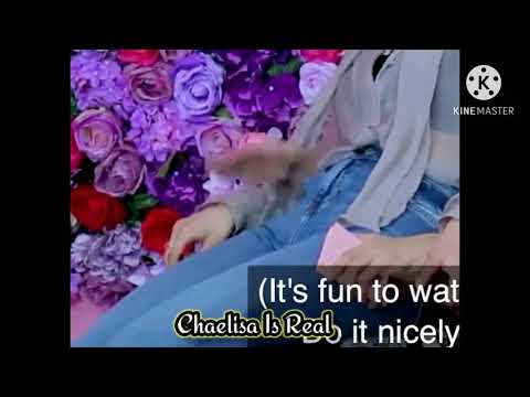 Chaelisa Is Real 😘 Blackpink 201009