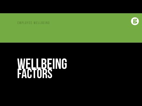 Wellbeing Factors