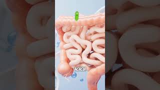 Download lagu Meet Acacia Senegal, the source of nature’s miracle, gum arabic! mp3 Download lagu Meet Acacia Senegal, the source of nature’s miracle, gum arabic! mp3